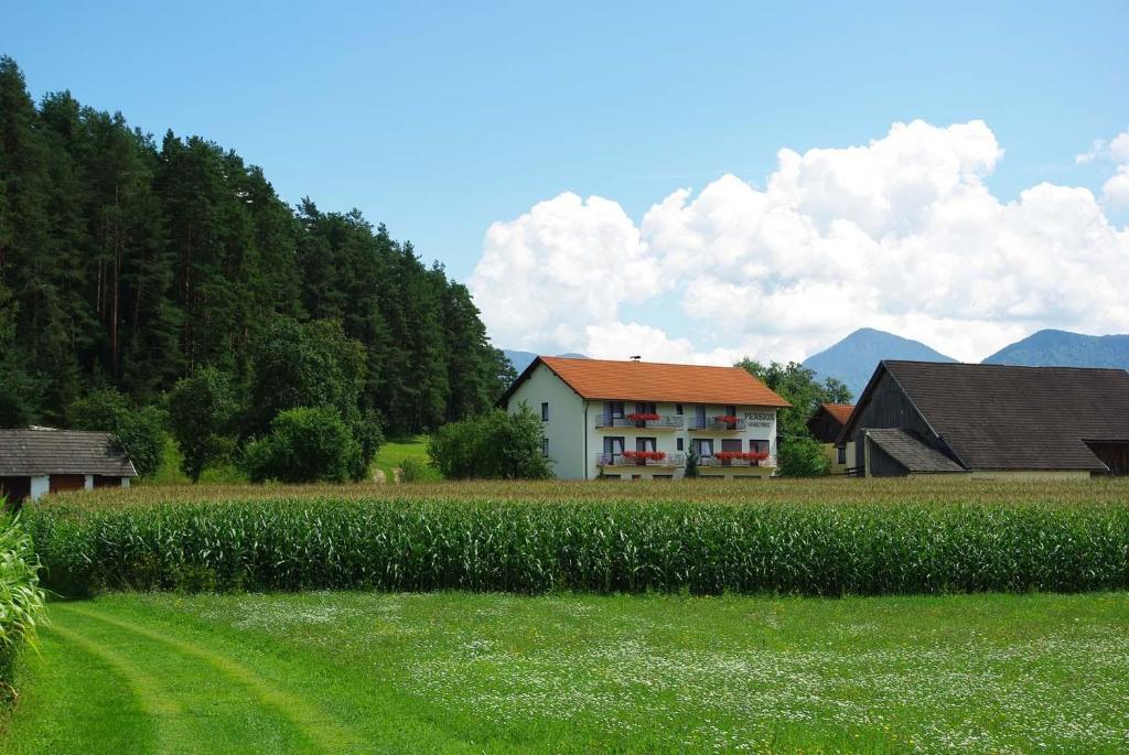 Pension Hribernig Sankt Primus Buitenkant foto